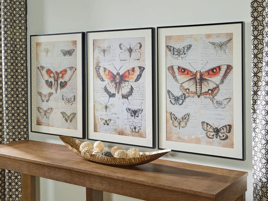 Jossletts - Wall Art Set (Set of 3) - Orange / Black / Ivory