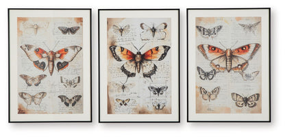 Jossletts - Wall Art Set (Set of 3) - Orange / Black / Ivory
