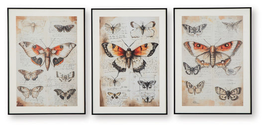 Jossletts - Wall Art Set (Set of 3) - Orange / Black / Ivory